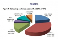 Report finale Progetto NIMBL su Aicardi-Goutieres syndrome